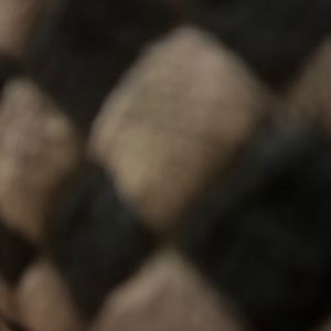 Meet your Posher, Destiny